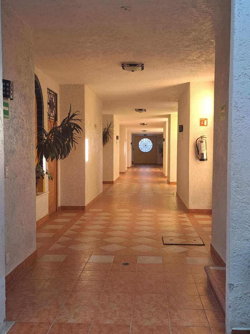 Finca San Fernando imagen 13